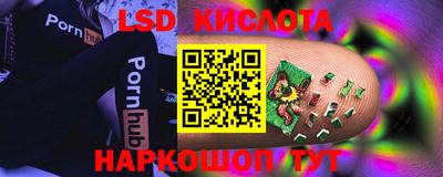 амф Гусь-Хрустальный