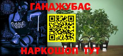 амф Гусь-Хрустальный