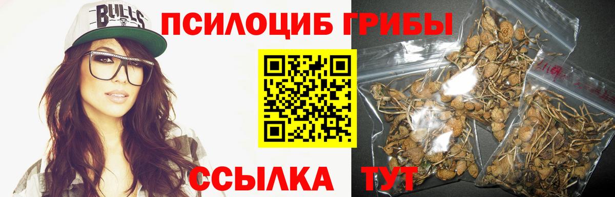 Галлюциногенные грибы MAGIC MUSHROOMS Звенигород